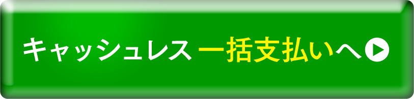 キャッシュレス一括支払いへ